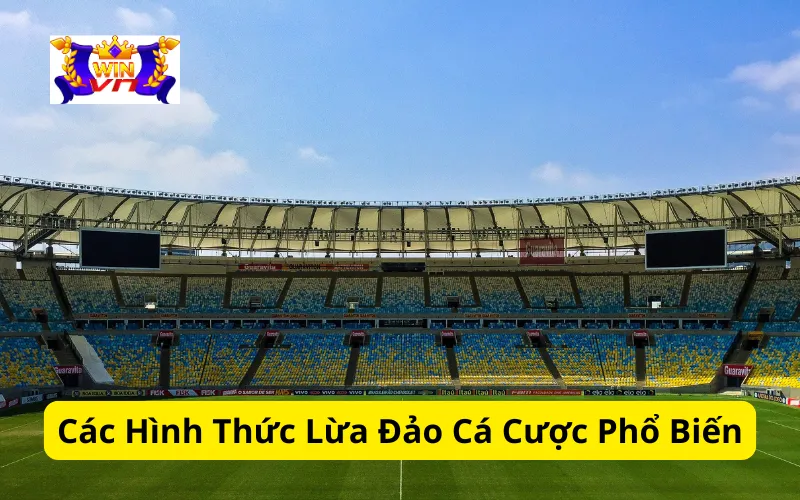 Các Hình Thức Lừa Đảo Cá Cược Phổ Biến