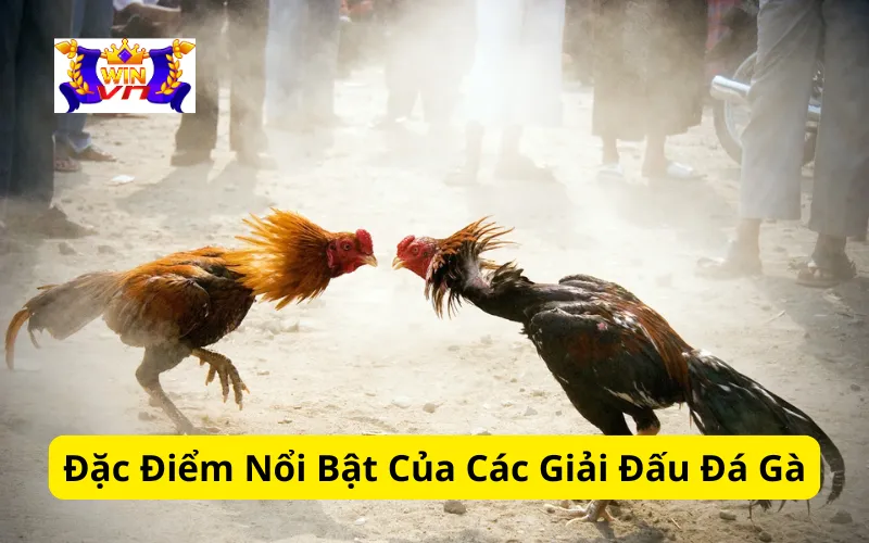 Đặc Điểm Nổi Bật Của Các Giải Đấu Đá Gà