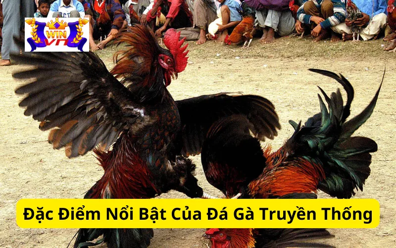 Đặc Điểm Nổi Bật Của Đá Gà Truyền Thống