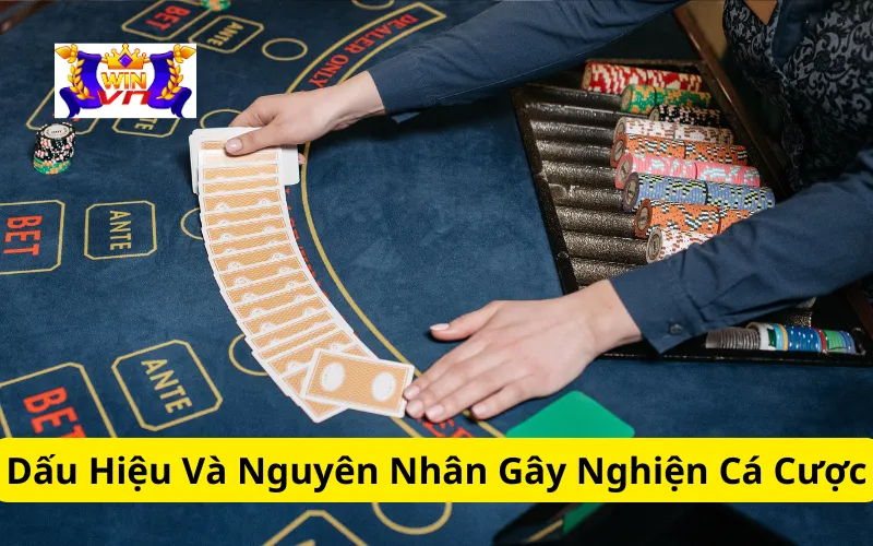 Dấu Hiệu Và Nguyên Nhân Gây Nghiện Cá Cược