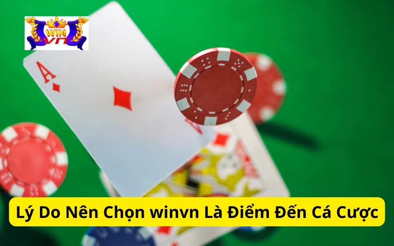 Lý do nên chọn winvn là điểm đến cá cược