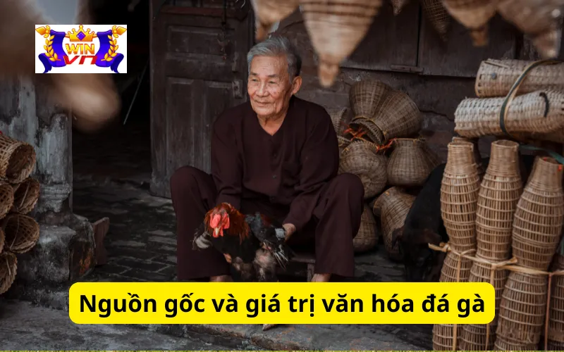 Nguồn gốc và giá trị văn hóa đá gà