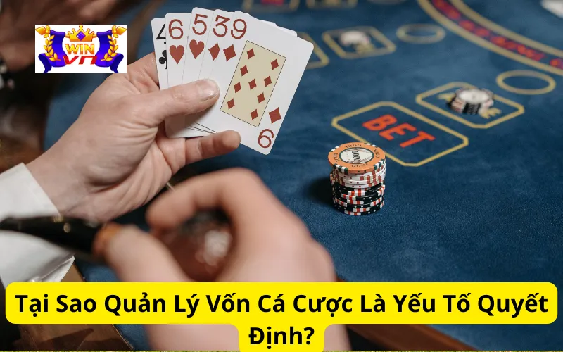 Tại Sao Quản Lý Vốn Cá Cược Là Yếu Tố Quyết Định?