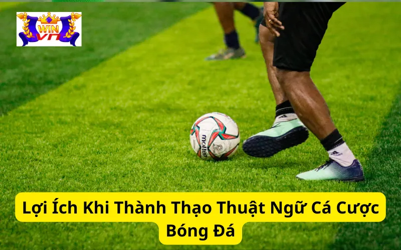 Lợi Ích Khi Thành Thạo Thuật Ngữ Cá Cược Bóng Đá