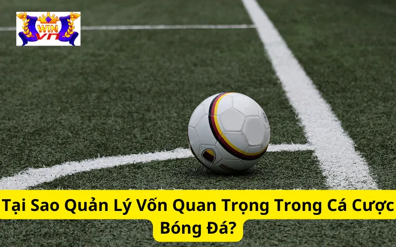 Tại Sao Quản Lý Vốn Quan Trọng Trong Cá Cược Bóng Đá?