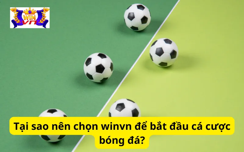 Tại sao nên chọn winvn để bắt đầu cá cược bóng đá?