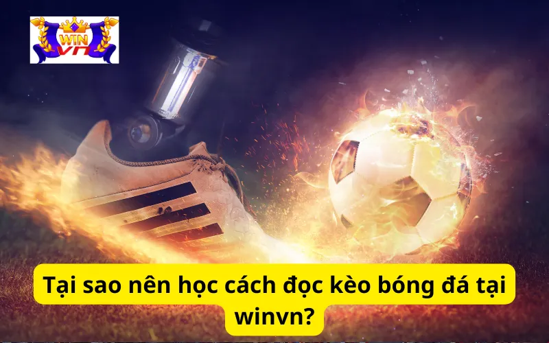 Tại sao nên học cách đọc kèo bóng đá