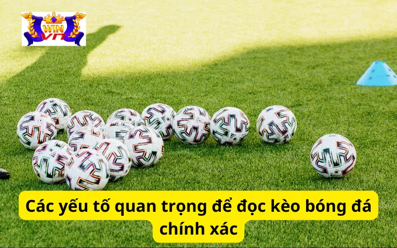 Các yếu tố quan trọng để đọc kèo bóng đá chính xác