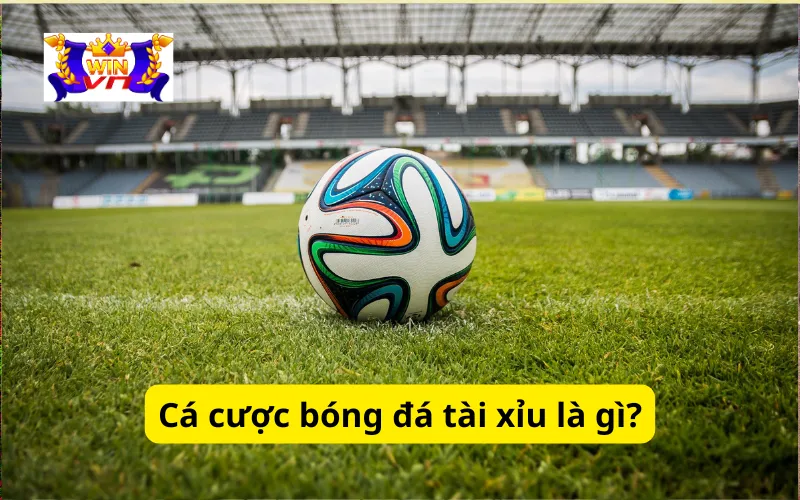 Cá cược bóng đá tài xỉu là gì?