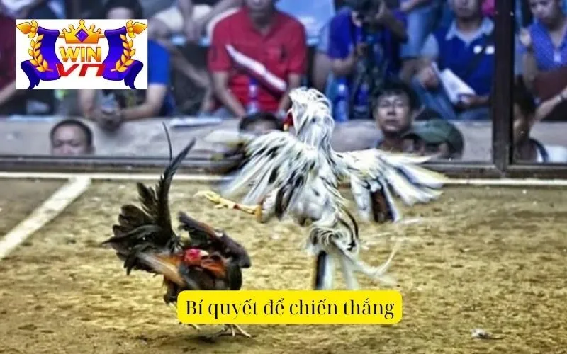 Bí quyết để chiến thắng